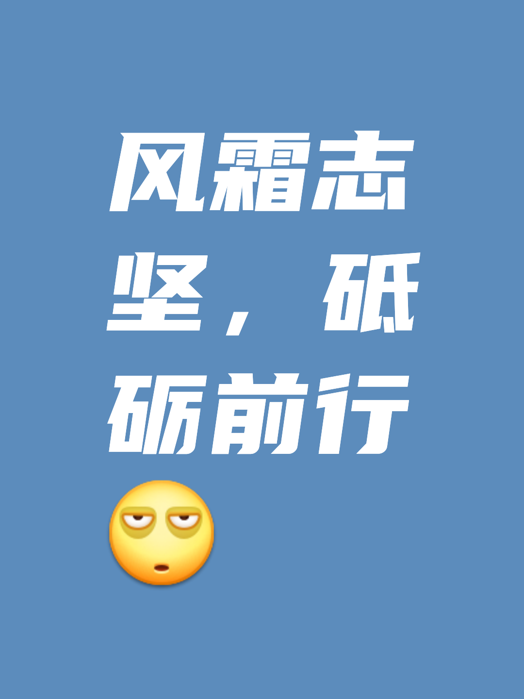 关于大秀实力，胜利之光将照亮前行之路的信息