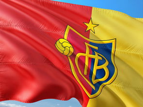 杏彩体育app-女排超级联赛强强对决比赛火爆，女排超级联赛最新战报  第2张